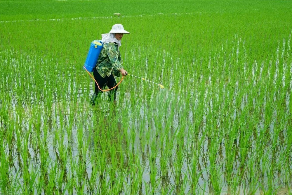 Smart Agriculture & Object Recognition
