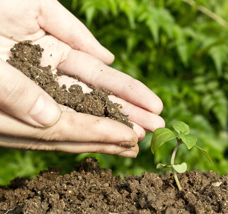 Non-destructive detection application of spectral cameras for soil composition