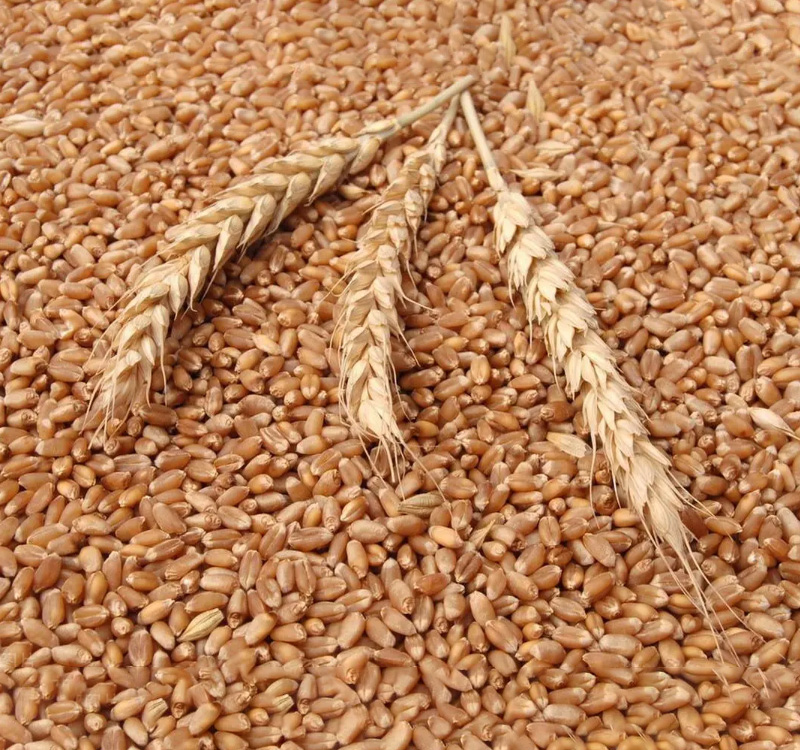 The application of spectral cameras in agriculture